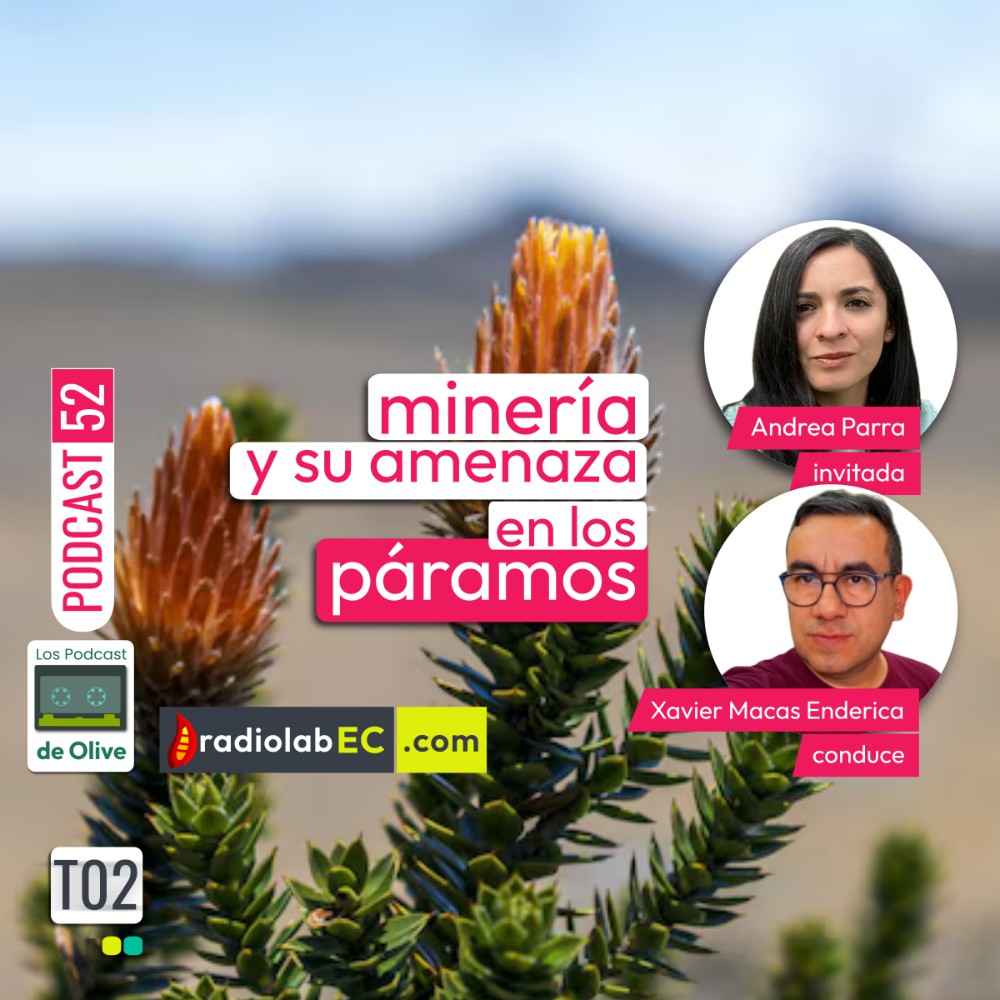 Minería y su amenaza en los páramos | Podcast 52 #LosPodcastDeOlive Minería y su amenaza en los páramos | Podcast 52 #LosPodcastDeOlive